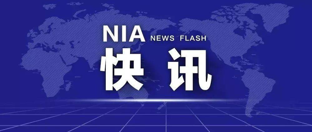 澳门和香港管家婆100%精准天天与警惕虚假宣传-全面释义、解释与落实