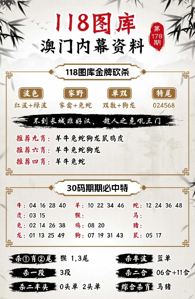 澳门管家婆100%精准图片,全面释义、解释与落实-警惕虚假宣传-全面释义、解释与落实